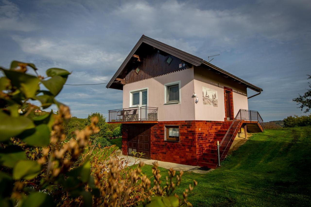 Kuca Za Odmor Martin Vila Sveti Martin Na Muri Exterior foto